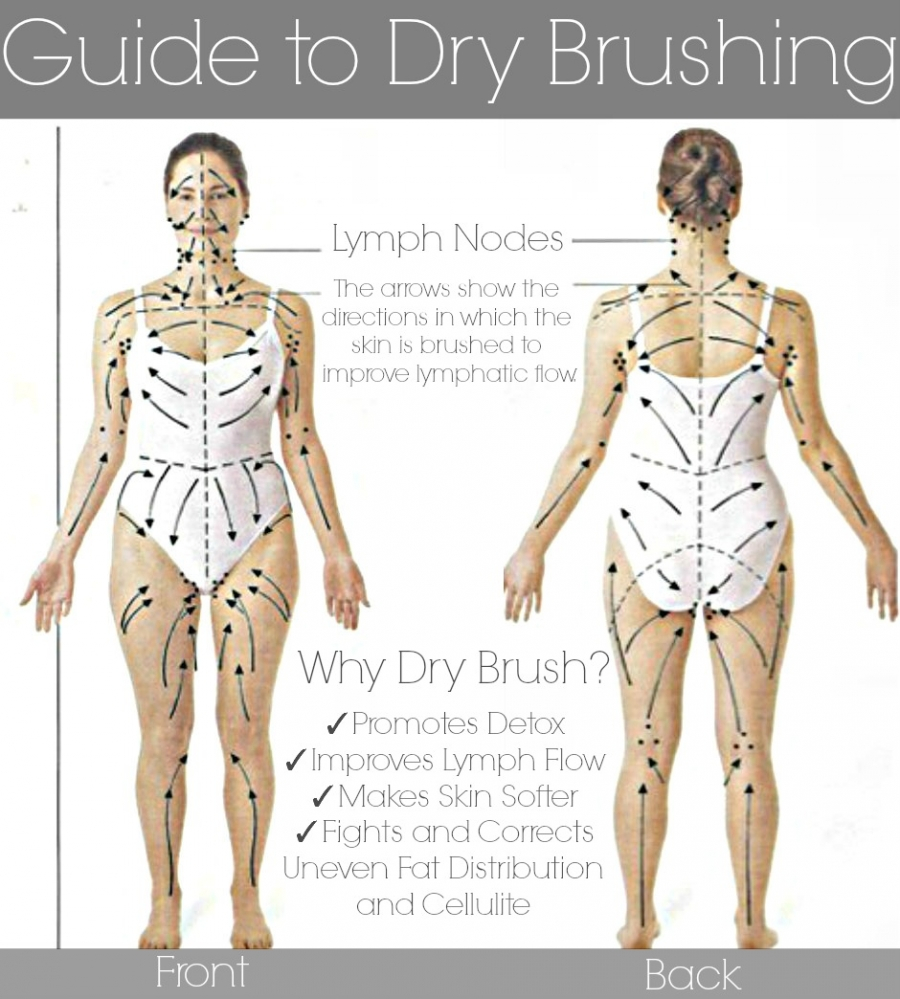 Body chart for dry skin brushing 12-5-14