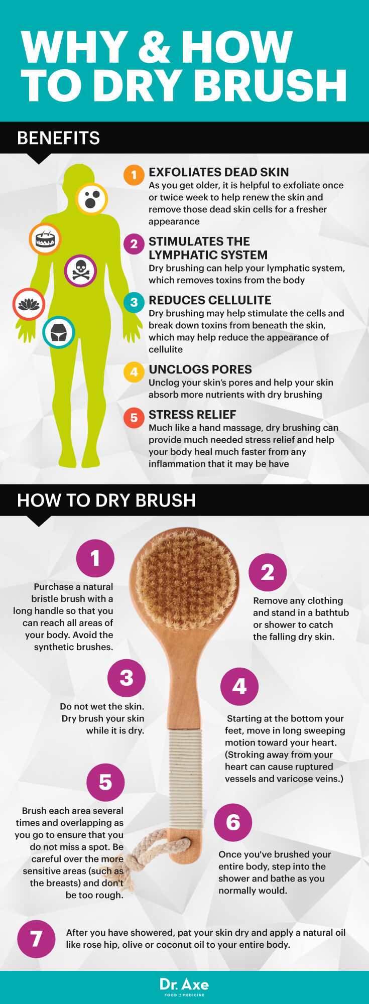 Dr Berkowsky Skin Brushing Chart