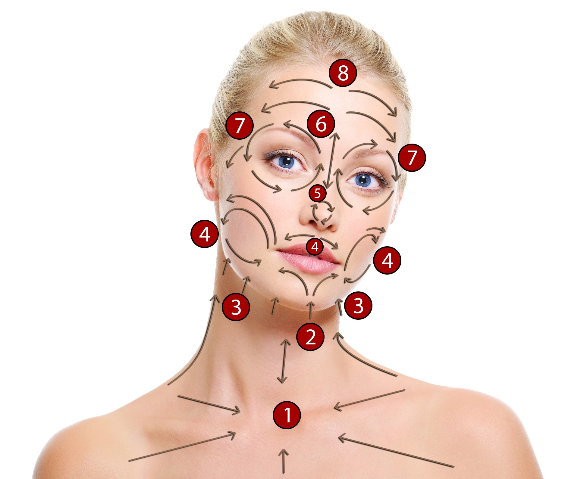 Dr Berkowsky Skin Brushing Chart