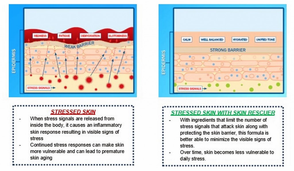 Graphics of Stress Skin