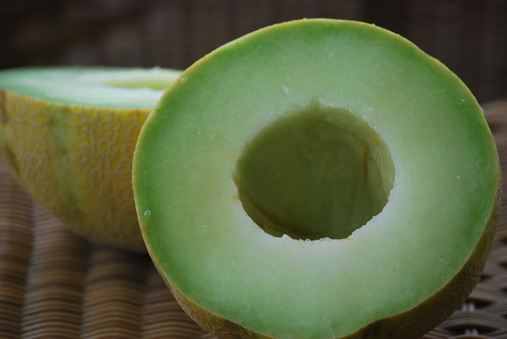 Honeydew Melon