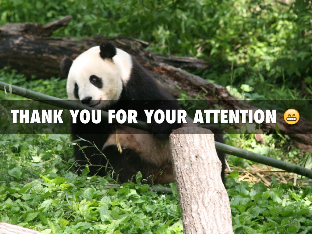 pandas-attention