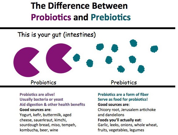 Prebiotics and Probiotics 2nd banner