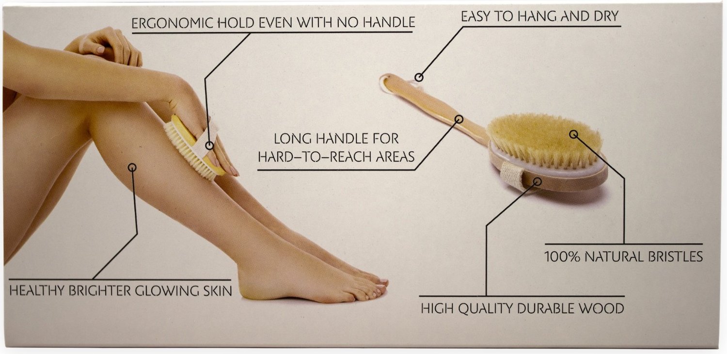 Dr Berkowsky Skin Brushing Chart