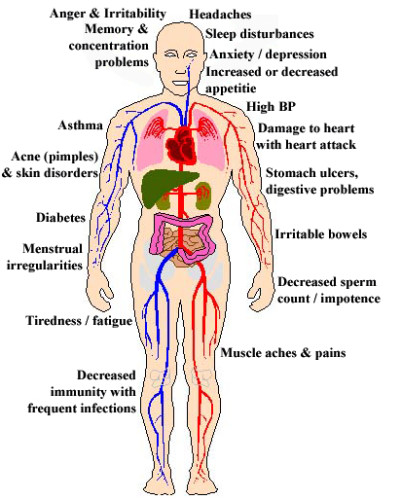 the variables affecting youth problems Risk and protective factors can affect children at development to strengthen protective factors before problem for drug abuse among youth. the variables affecting youth problems Risk and protective factors can affect children at development to strengthen protective factors before problem for drug abuse among youth.