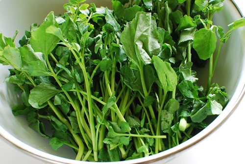 Watercress