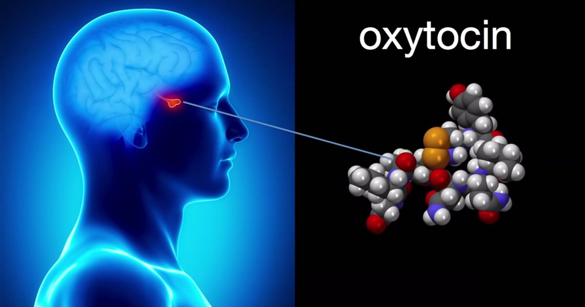 Amazing Oxytocin And The Role Of Touch In Developing Romantic Attraction  Learn more here 