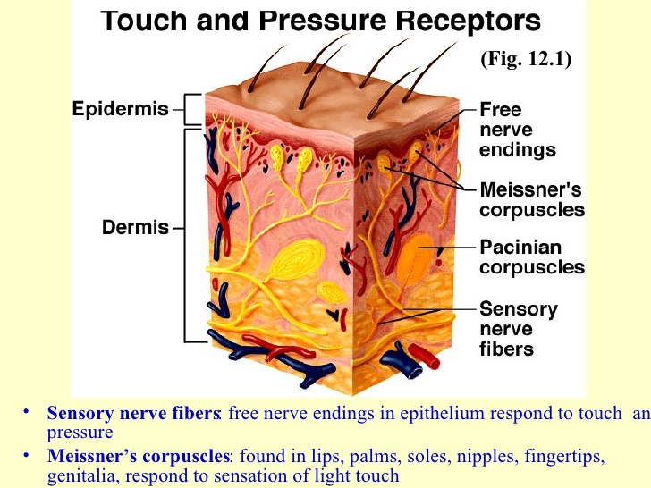 ch12-ppt-lect-5-728