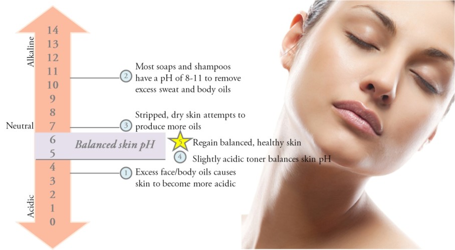 » What does pH have to do with skin? Beauty Blog  Makeup  Esthetics 