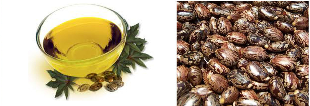 image-of-castor-oil