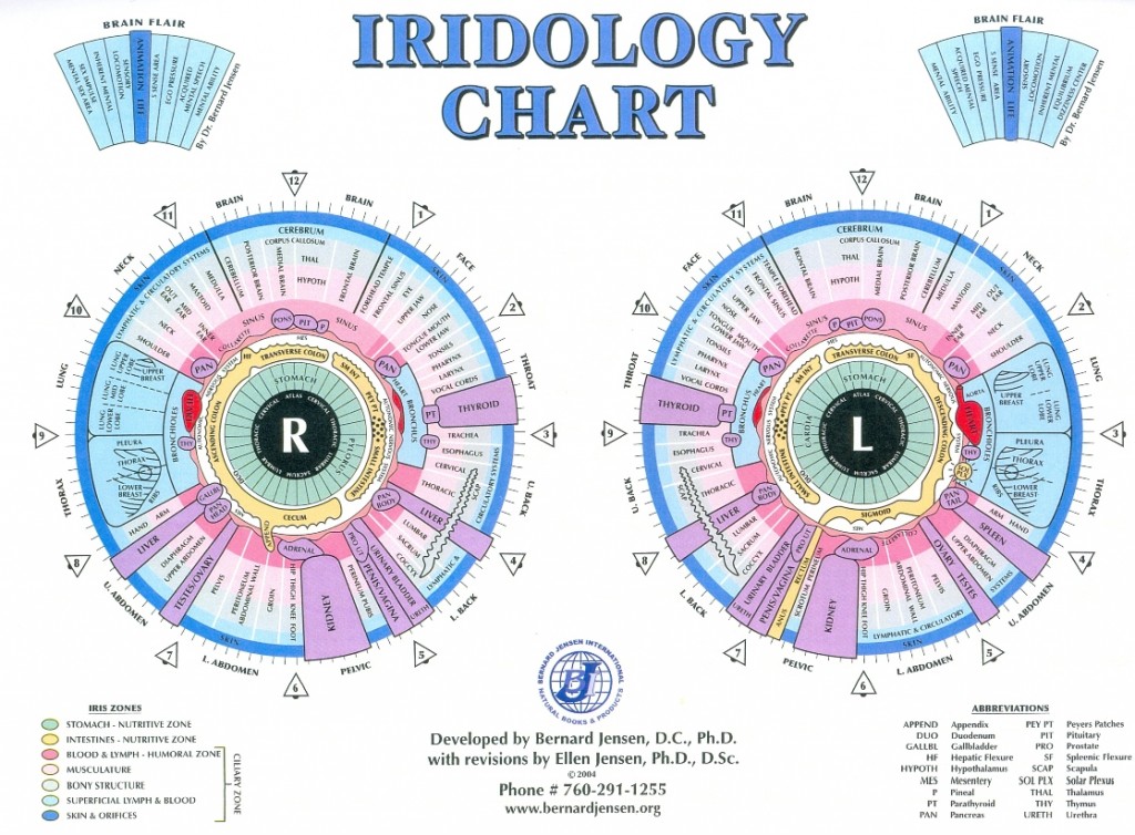 iridology_chart_large