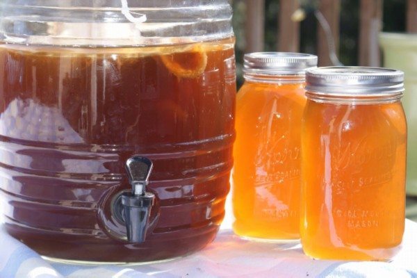 kombucha