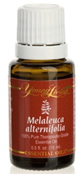 melaleuca