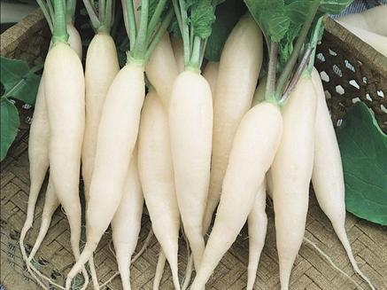 white radish